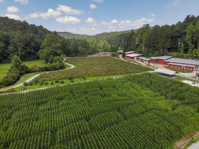 Hillside Orchard Farms